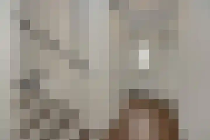 Nollekenshoeve 13 Helmond thumbnail 12