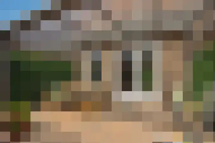 Nollekenshoeve 13 Helmond thumbnail 37