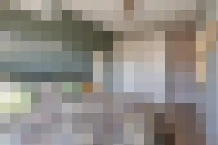 Nollekenshoeve 19 Helmond thumbnail 27