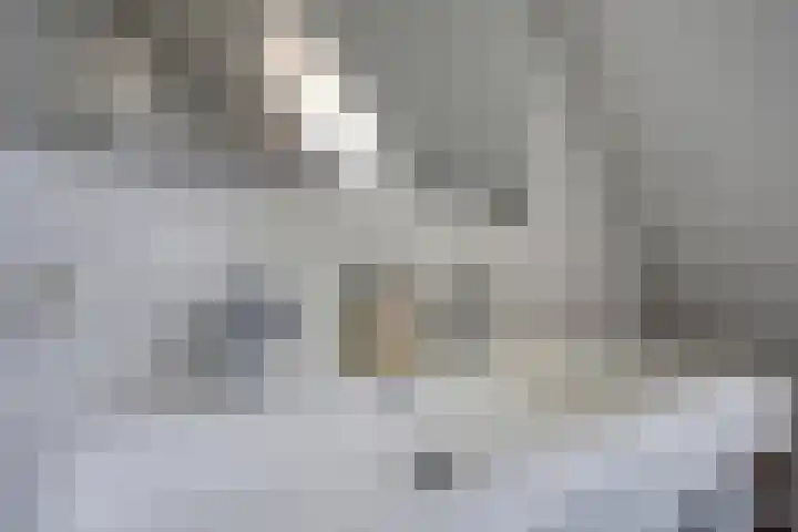 Nollekenshoeve 19 Helmond thumbnail 31