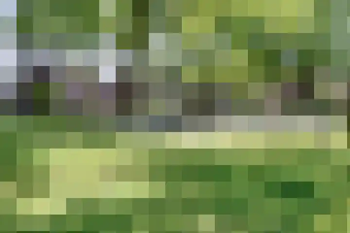 Nollekenshoeve 19 Helmond thumbnail 52