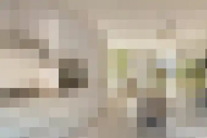 Nollekenshoeve 3 Helmond thumbnail 23
