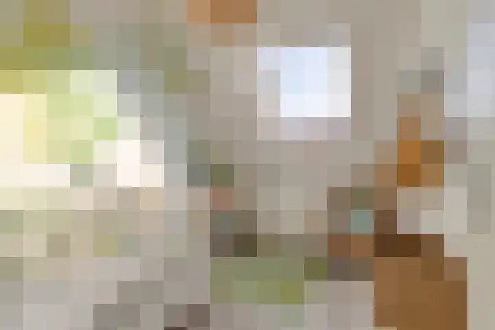 Nollekenshoeve 3 Helmond thumbnail 29