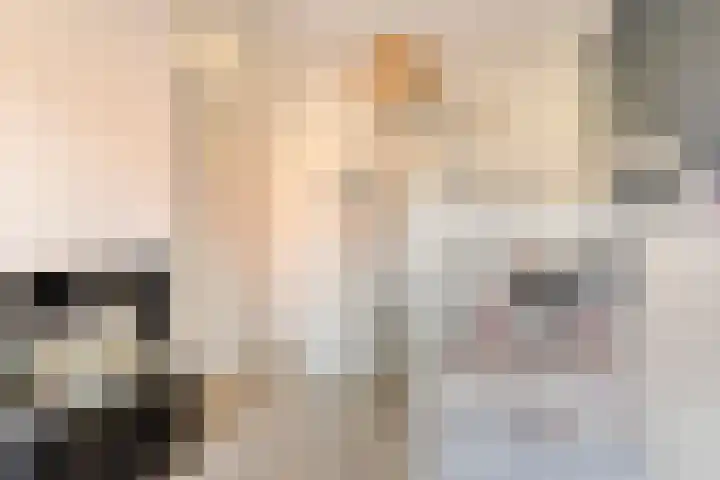 Nollekenshoeve 3 Helmond thumbnail 31