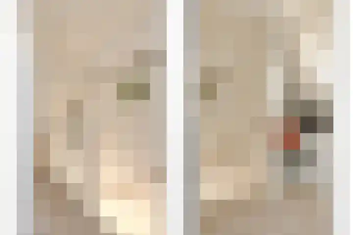 Nollekenshoeve 3 Helmond thumbnail 34