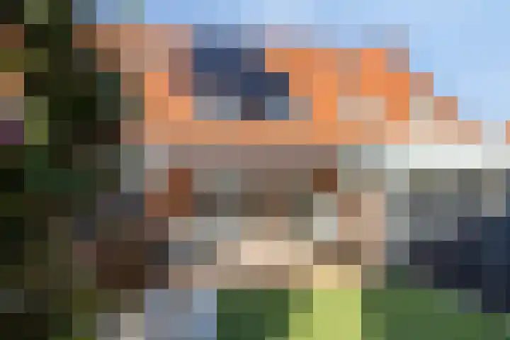 Nollekenshoeve 3 Helmond thumbnail 40