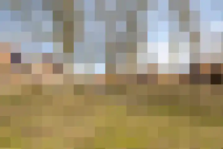 Nollekenshoeve 3 Helmond thumbnail 42