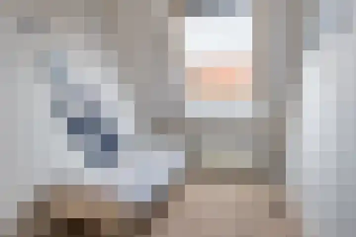 Nollekenshoeve 4 Helmond thumbnail 20