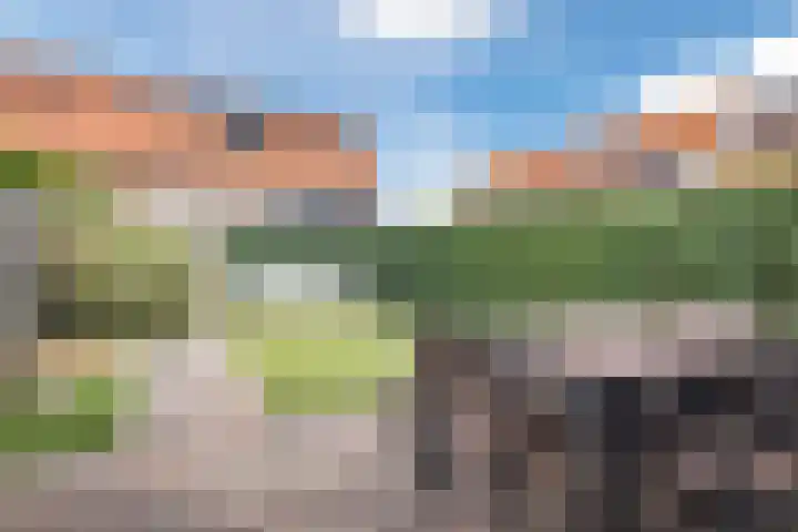 Nollekenshoeve 4 Helmond thumbnail 31