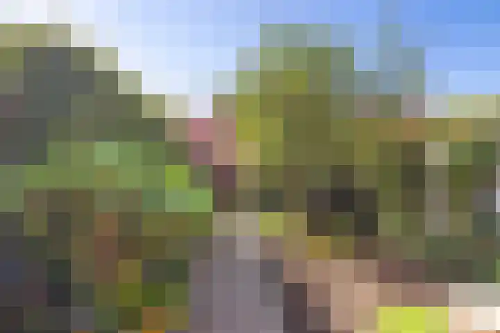 Nollekenshoeve 9 Helmond thumbnail 18
