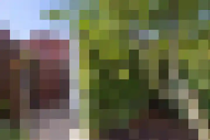 Nollekenshoeve 9 Helmond thumbnail 20