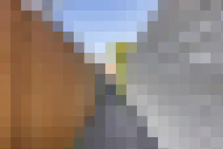 Nollekenshoeve 9 Helmond thumbnail 21