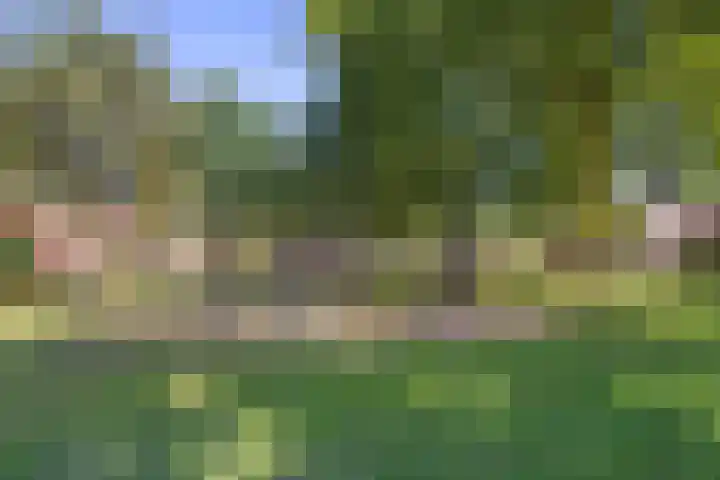 Nollekenshoeve 9 Helmond thumbnail 23