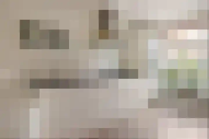 Nollekenshoeve 9 Helmond thumbnail 4
