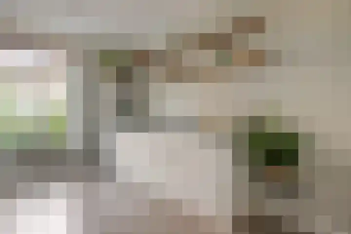 Nollekenshoeve 9 Helmond thumbnail 5