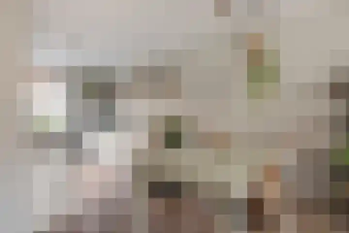 Nollekenshoeve 9 Helmond thumbnail 6