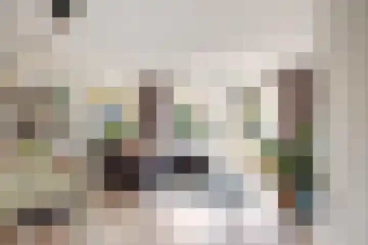 Nollekenshoeve 9 Helmond thumbnail 7