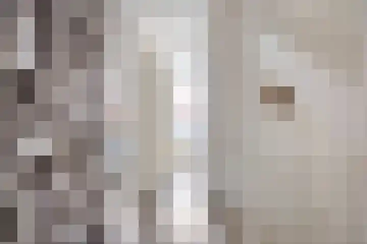 Nollekenshoeve 9 Helmond thumbnail 9