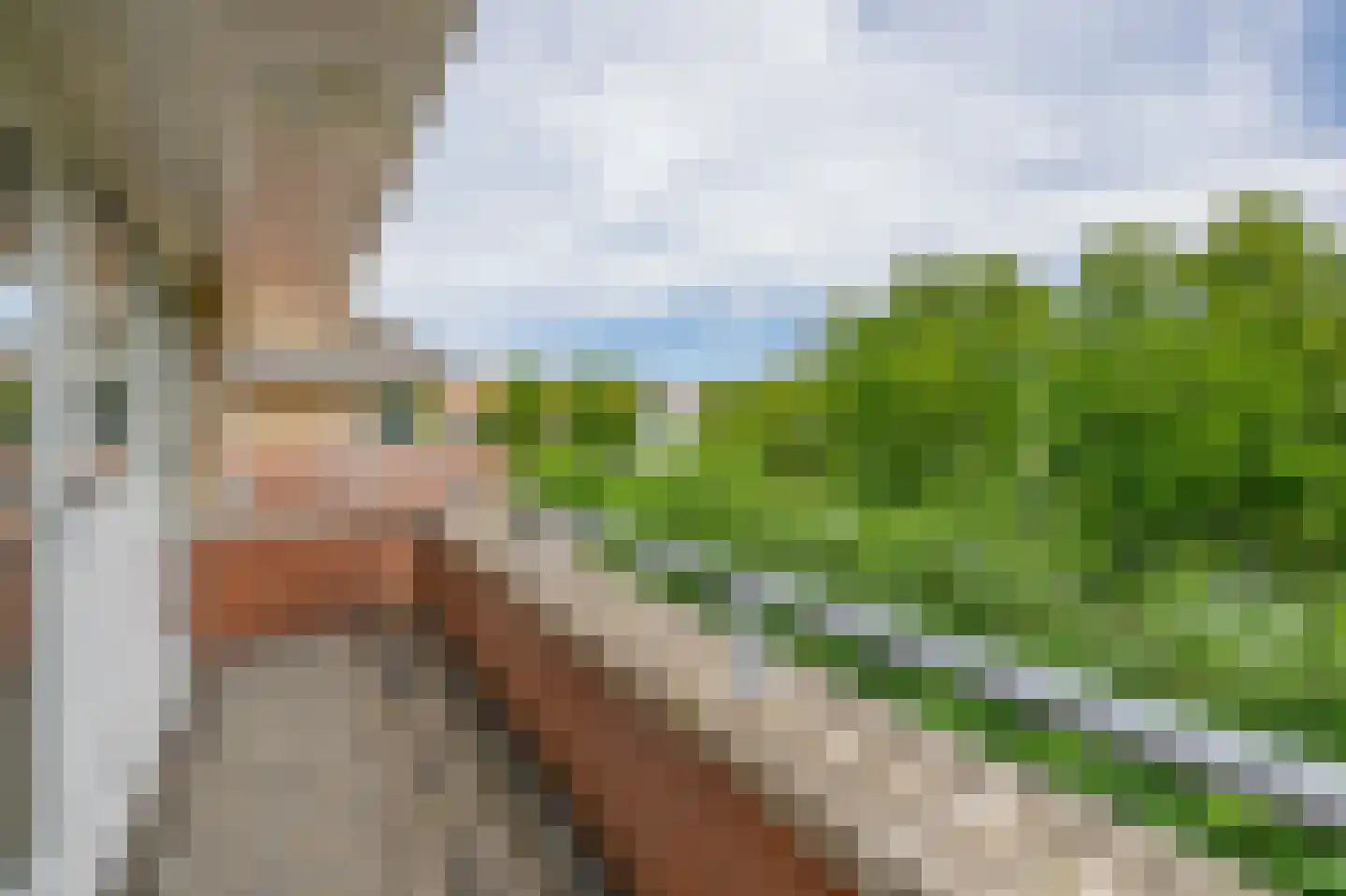 Nolleweg 2 b Melissant thumbnail 29