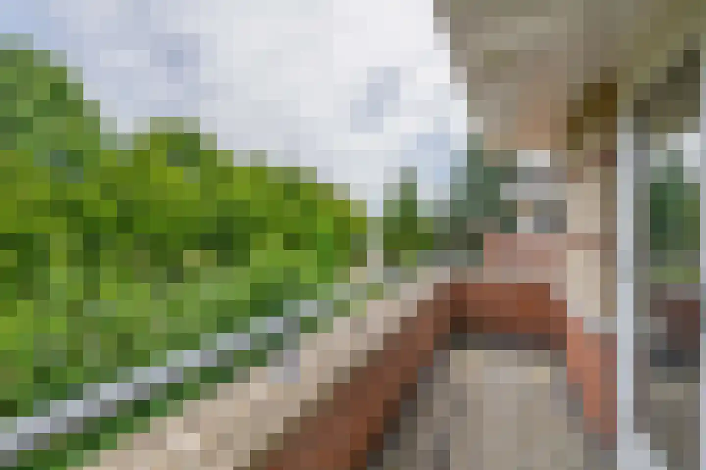 Nolleweg 2 b Melissant thumbnail 30