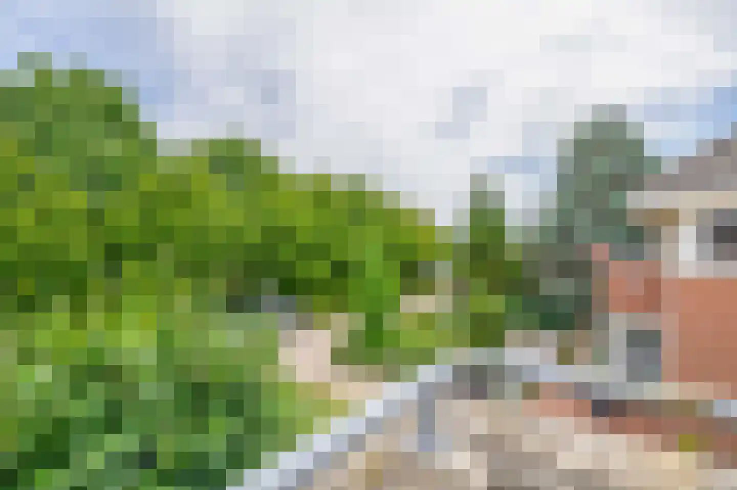 Nolleweg 2 b Melissant thumbnail 31