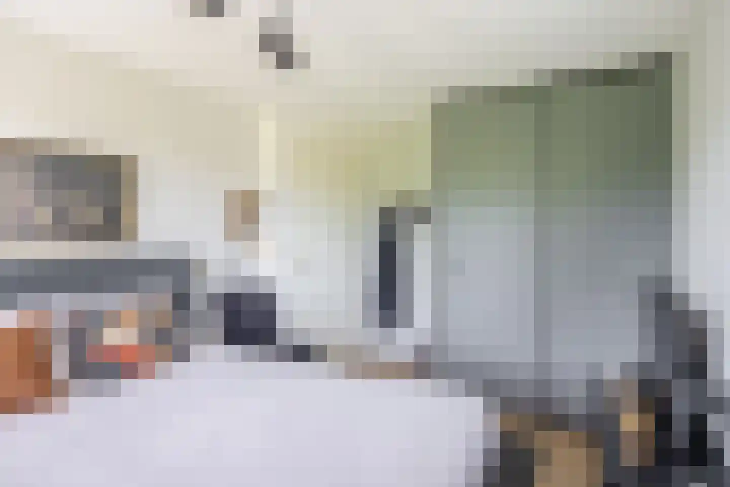 Nolleweg 2 b Melissant thumbnail 32