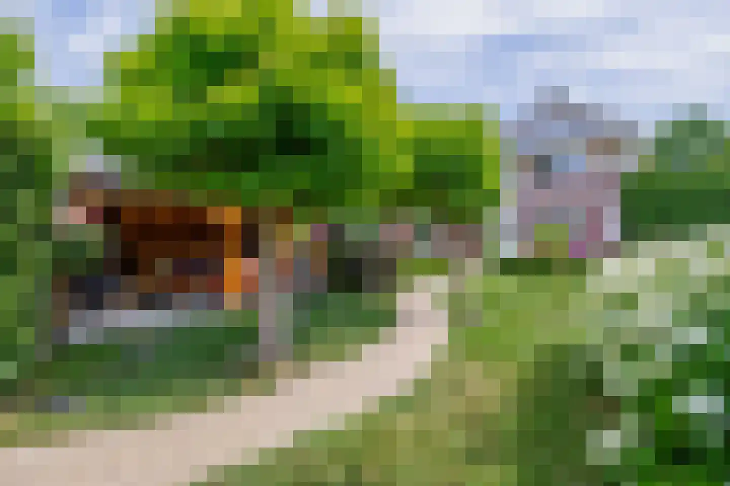 Nolleweg 2 b Melissant thumbnail 4