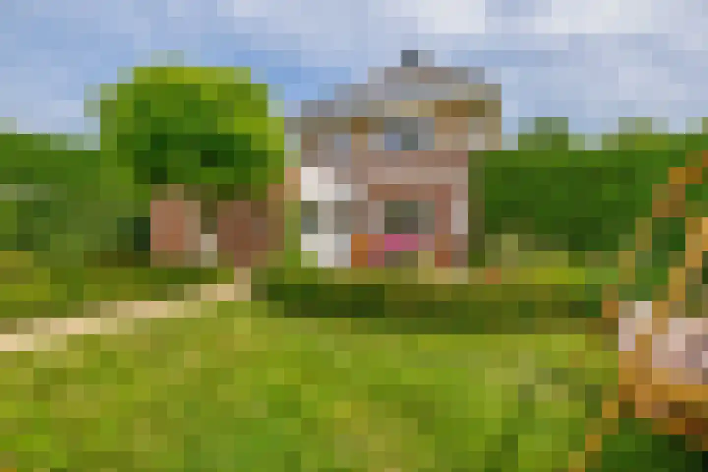 Nolleweg 2 b Melissant thumbnail 43