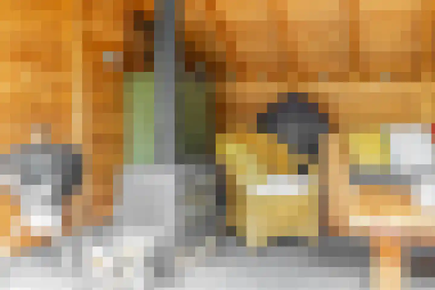 Nolleweg 2 b Melissant thumbnail 55