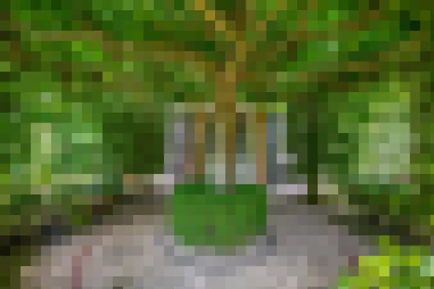 Nolleweg 2 b Melissant thumbnail 56