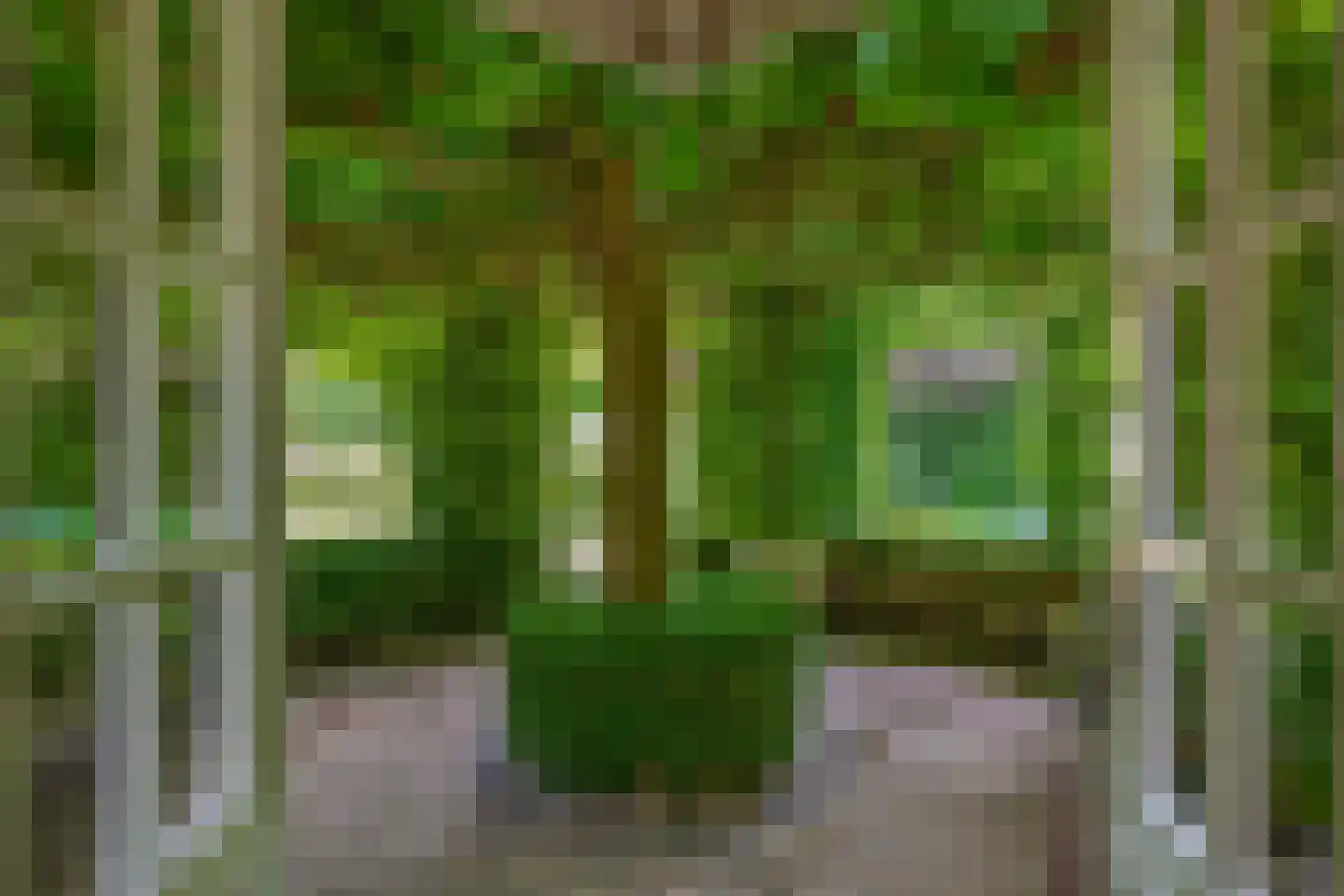 Nolleweg 2 b Melissant thumbnail 57