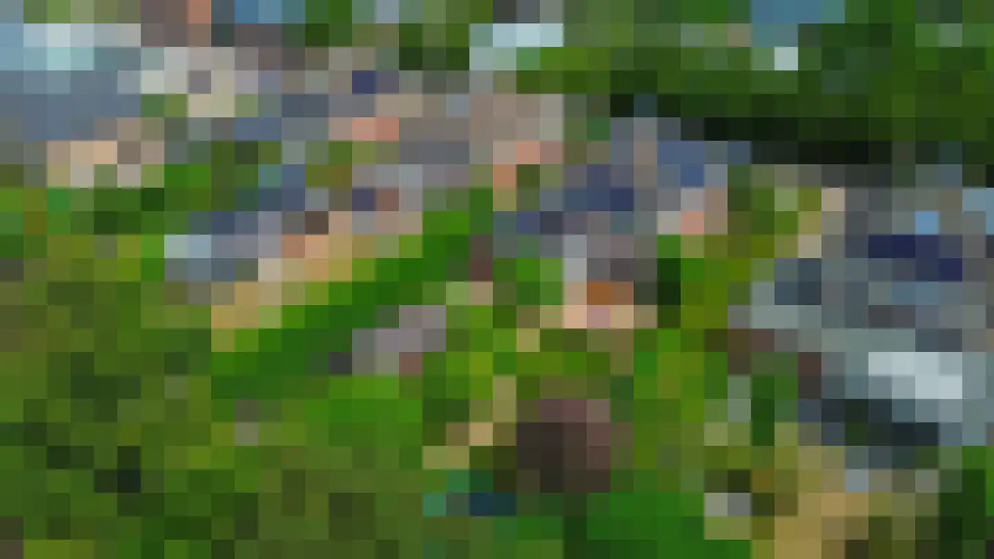 Nolleweg 2 b Melissant thumbnail 59
