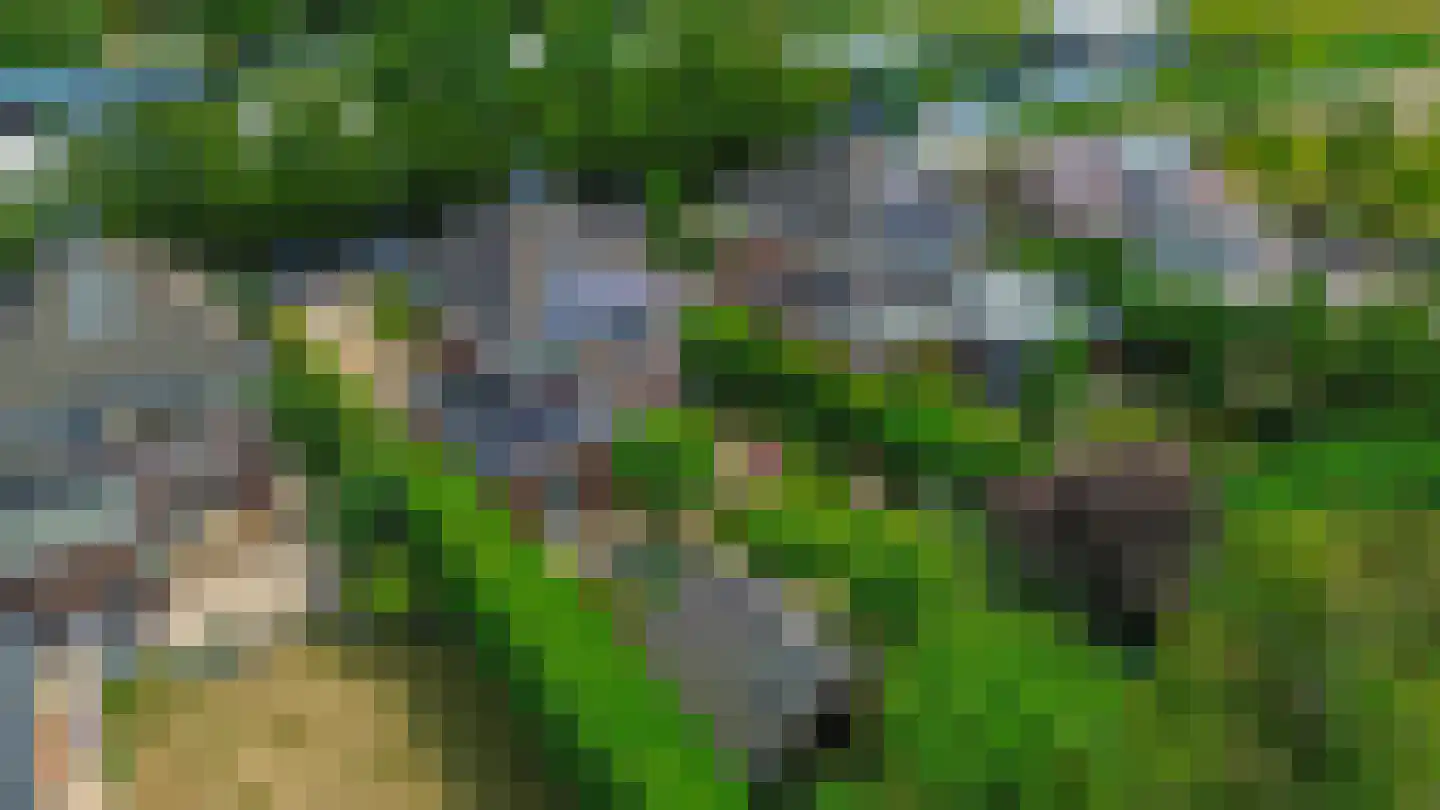Nolleweg 2 b Melissant thumbnail 61