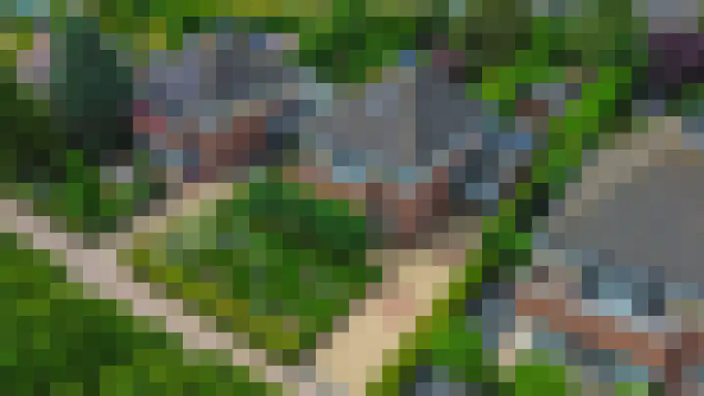 Nolleweg 2 b Melissant thumbnail 69