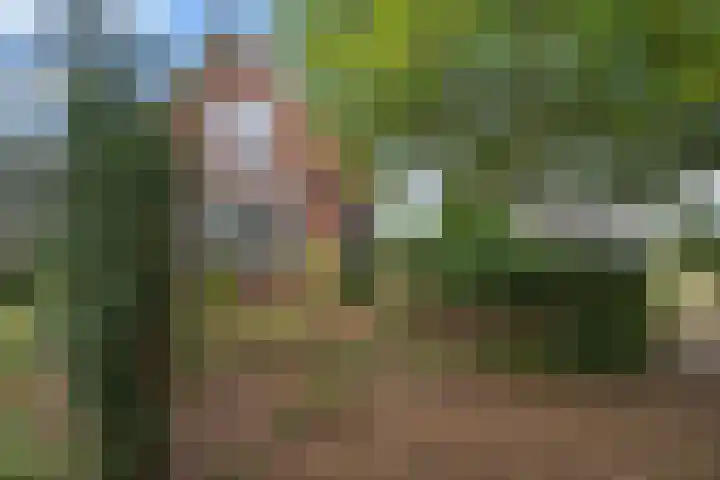 Nolsstraat 2 Emmen thumbnail 4