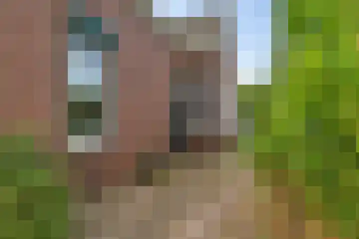 Nolsstraat 2 Emmen thumbnail 5