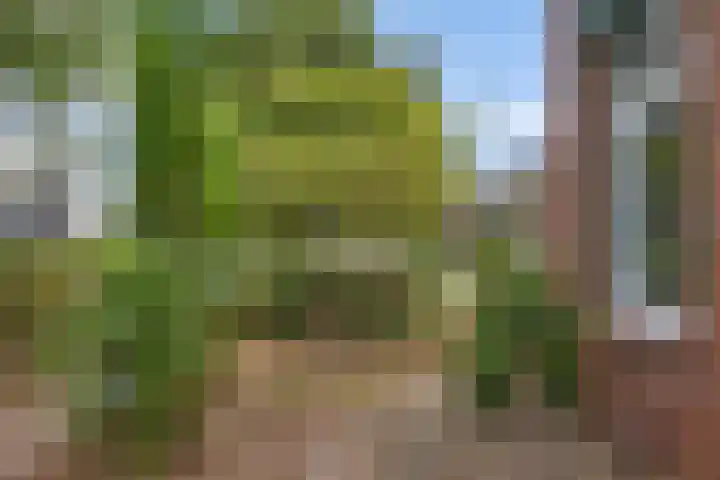 Nolsstraat 2 Emmen thumbnail 6