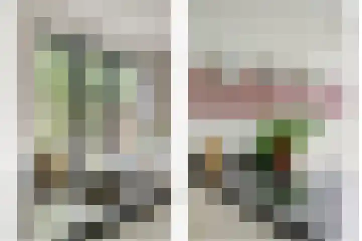 Noltheniusstraat 11 Utrecht thumbnail 17