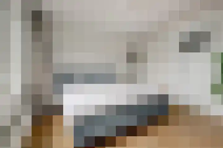 Noltheniusstraat 11 Utrecht thumbnail 19