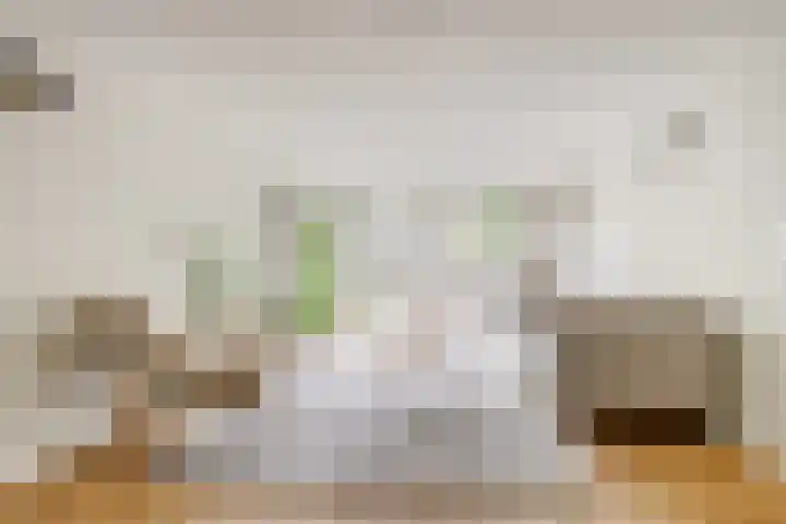 Noltheniusstraat 11 Utrecht thumbnail 33