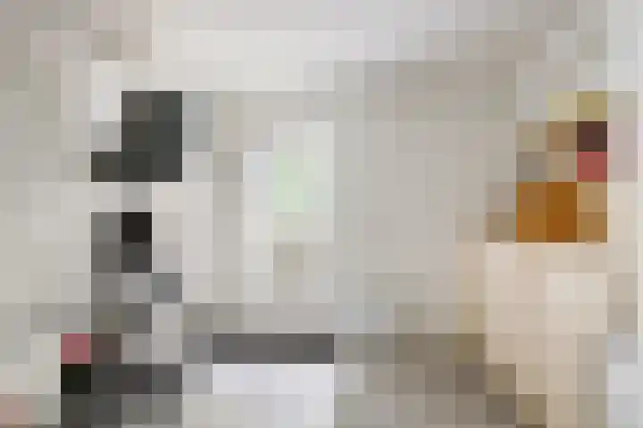 Noltheniusstraat 11 Utrecht thumbnail 40