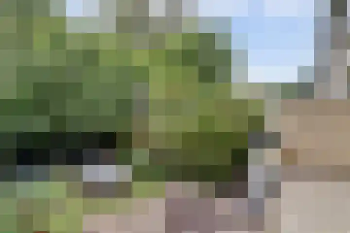 Noltheniusstraat 11 Utrecht thumbnail 41