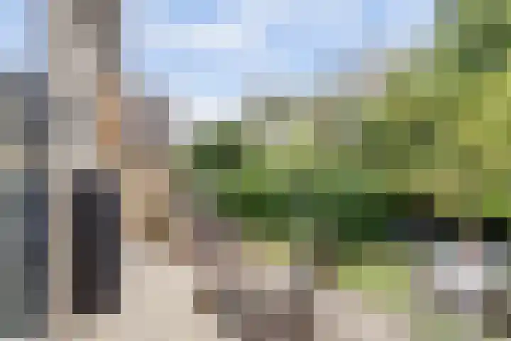 Noltheniusstraat 11 Utrecht thumbnail 42