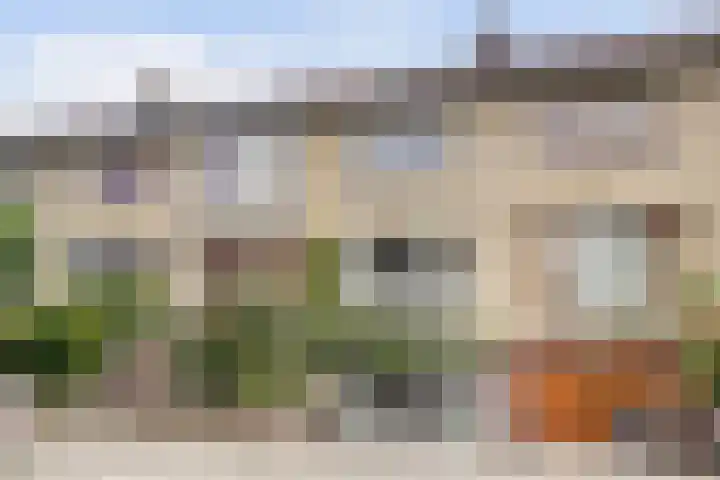 Noltheniusstraat 11 Utrecht thumbnail 5