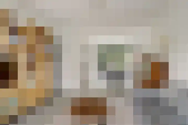 Noltheniusstraat 11 Utrecht thumbnail 8