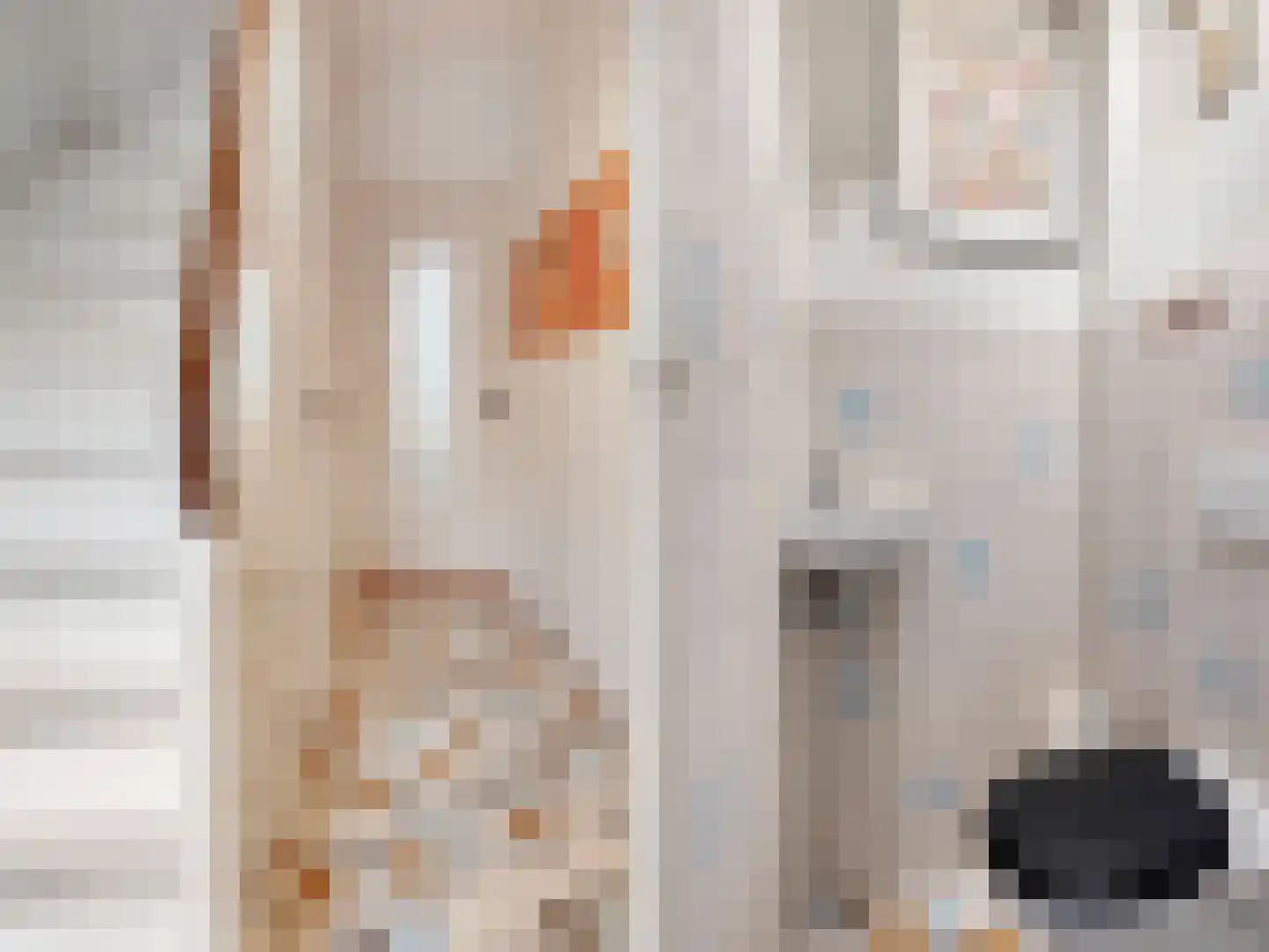 Noltheniusstraat 23 Utrecht thumbnail 16