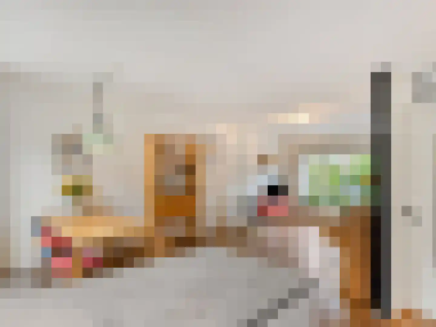 Noltheniusstraat 23 Utrecht thumbnail 17