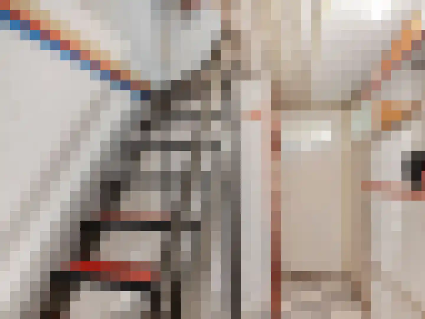 Noltheniusstraat 23 Utrecht thumbnail 28