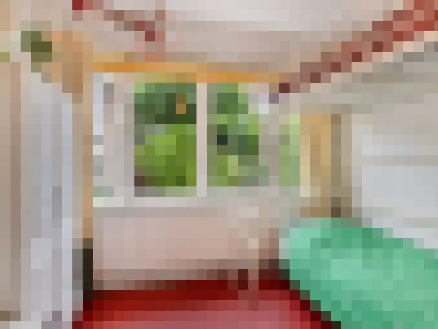 Noltheniusstraat 23 Utrecht thumbnail 34