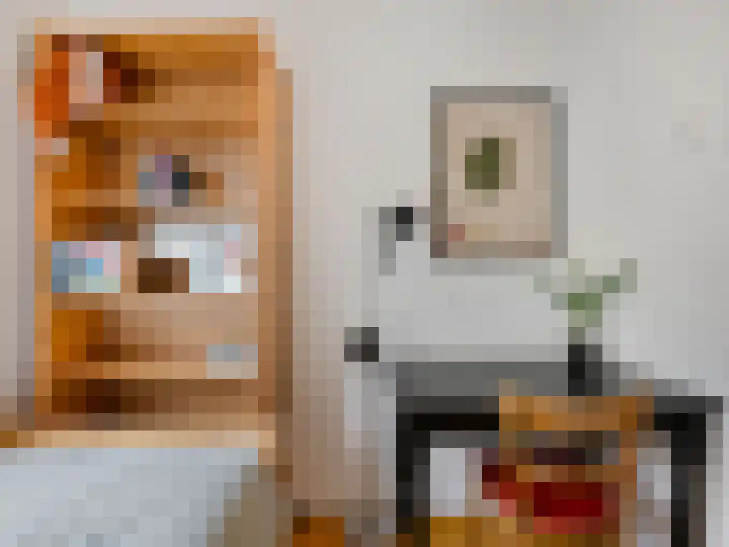 Noltheniusstraat 23 Utrecht thumbnail 36